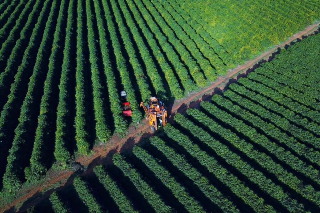 Paraná cria plano para se manter como estado mais sustentável do Brasil